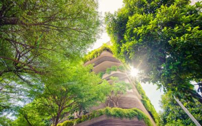 Refúgios Climáticos ‘Stay Cool’: O Seu Município Pode Receber Até 75 000 € A Fundo Perdido